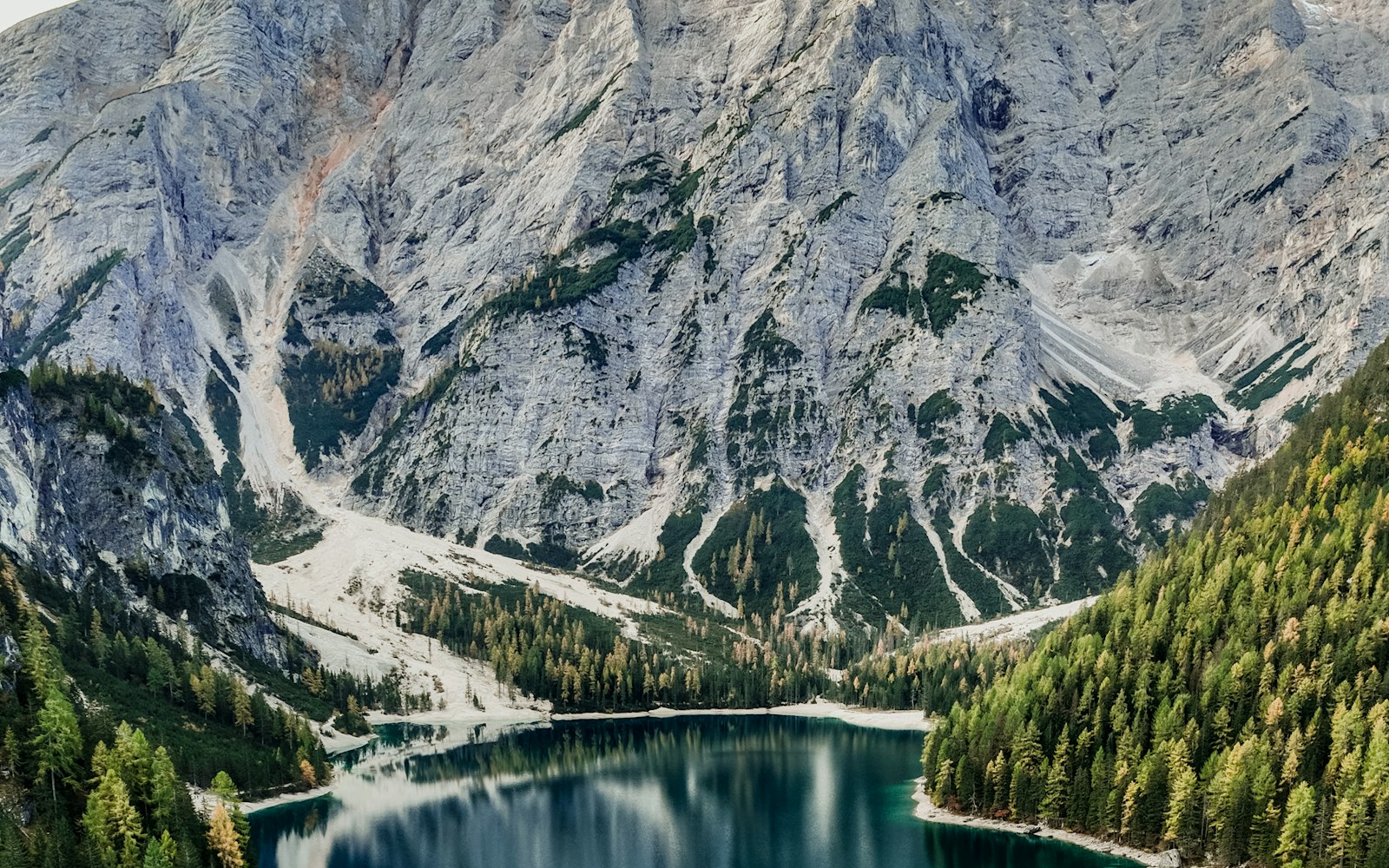 A turquoise alpine lake framed by forest and the mountains of the Dolomites, Italy